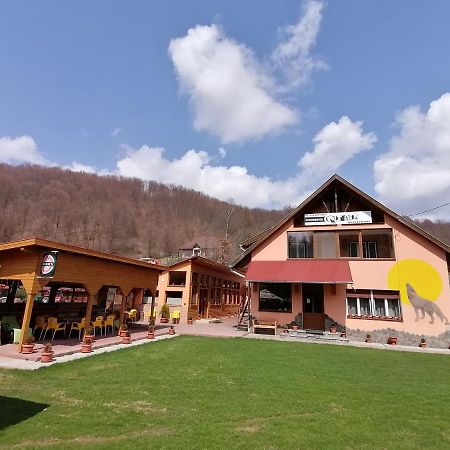 Pensiunea Colt Alb Băile Homorod Dış mekan fotoğraf
