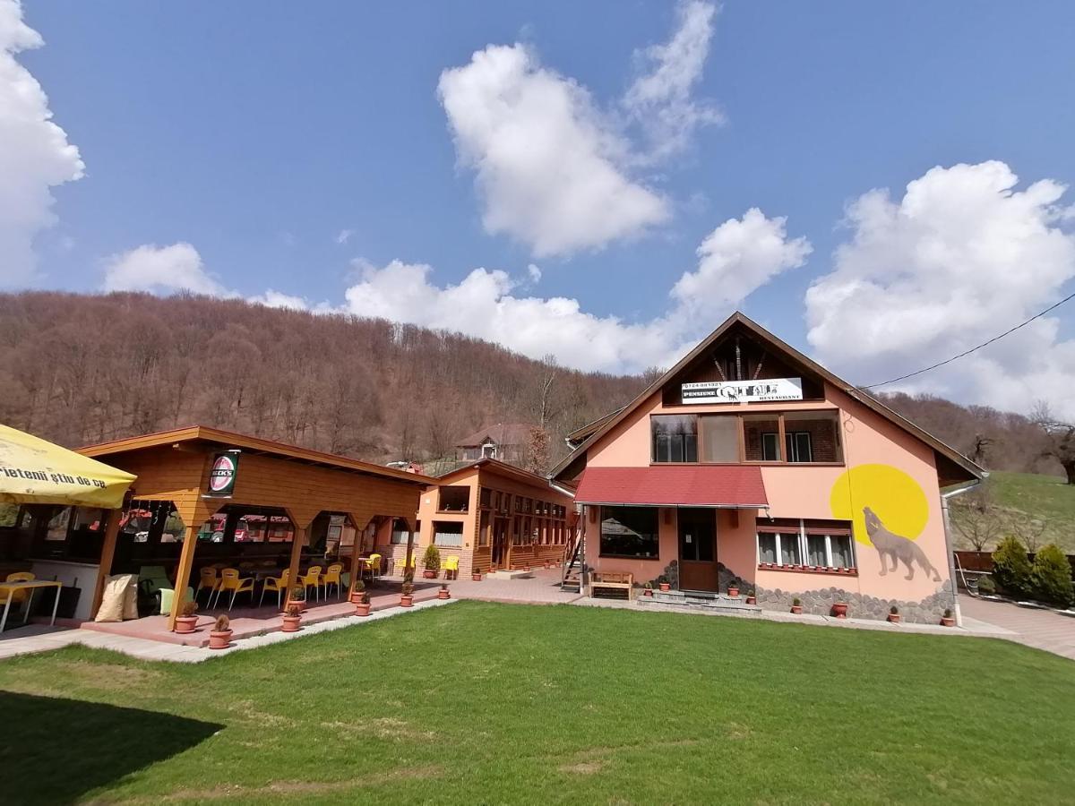 Pensiunea Colt Alb Băile Homorod Dış mekan fotoğraf