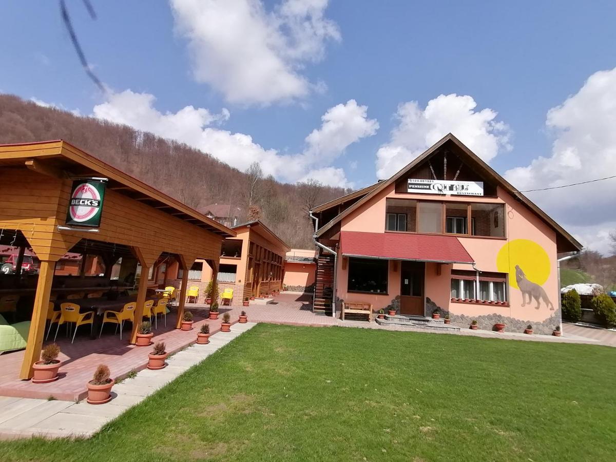 Pensiunea Colt Alb Băile Homorod Dış mekan fotoğraf