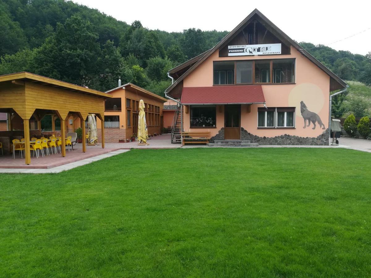 Pensiunea Colt Alb Băile Homorod Dış mekan fotoğraf