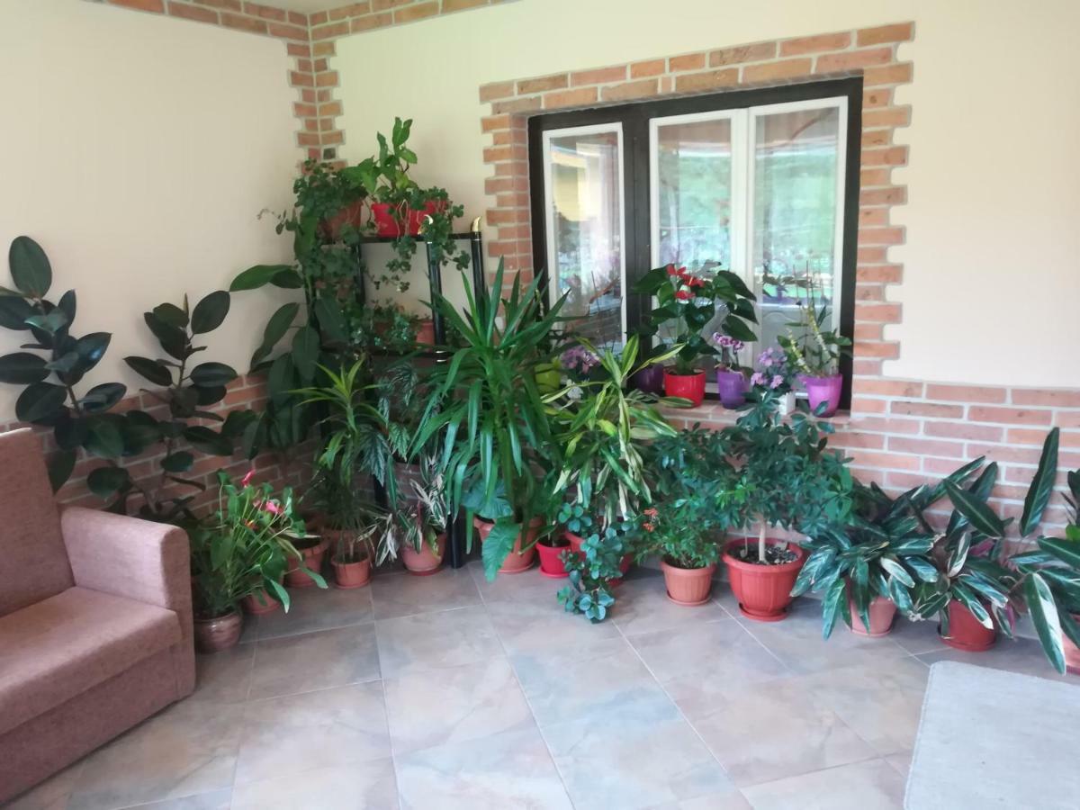 Pensiunea Colt Alb Băile Homorod Dış mekan fotoğraf